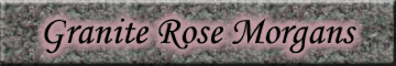 Granite Rose Morgans